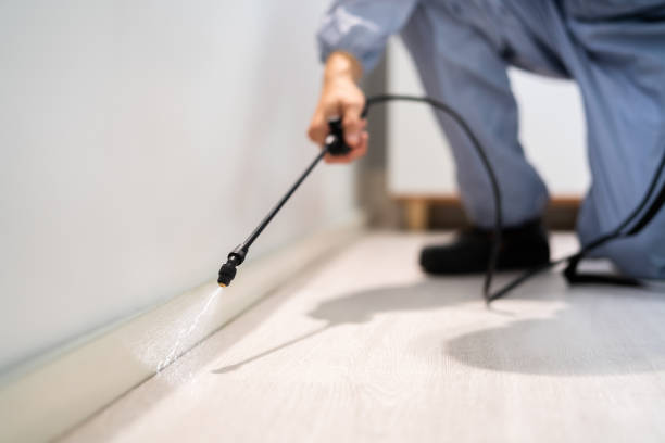 Licensed Termite Control service in Stafford County County, KS - Nex Pest Control