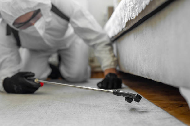 Professional Termite Control technician working in Stafford County County, KS